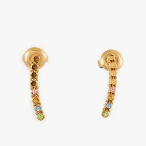 Puces d'oreilles acier inoxydable