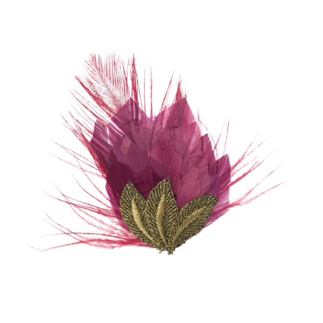 pince plumes taillées et broderie dorée